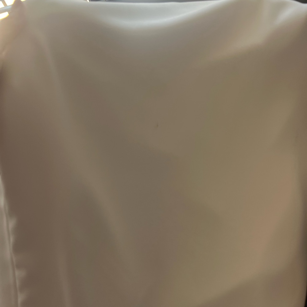 Pronovias Manon Wedding Dress Size 12 – Floral Back, V-Neck, Train - Picture 12 of 16
